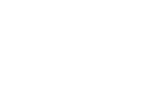 GenoStampora_logo-footer